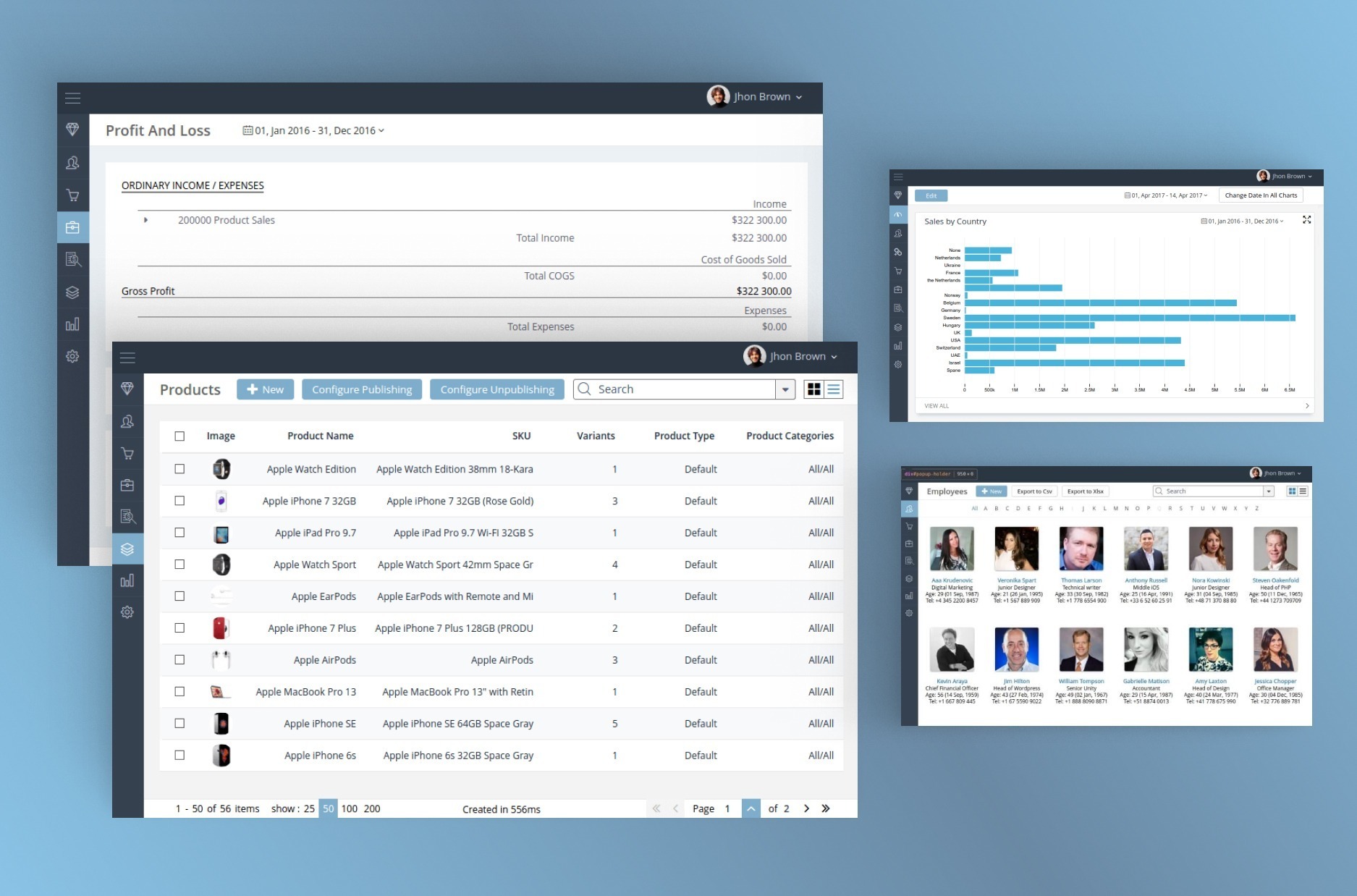 ERP — interface screens